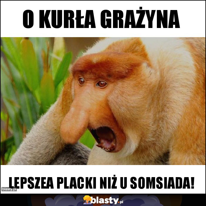 O Kurła grażyna