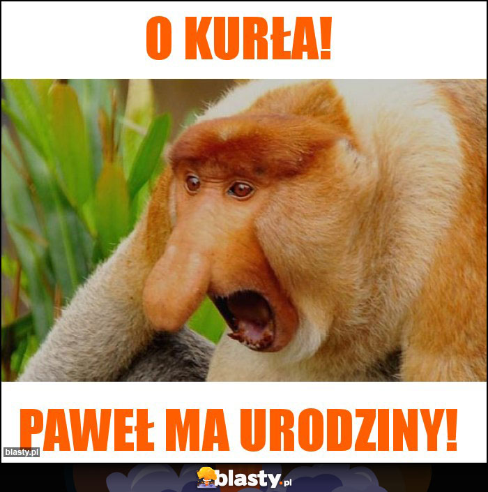 o kurła!