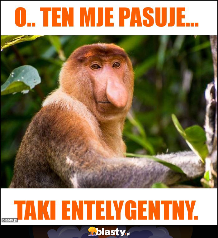 O.. ten mje pasuje...