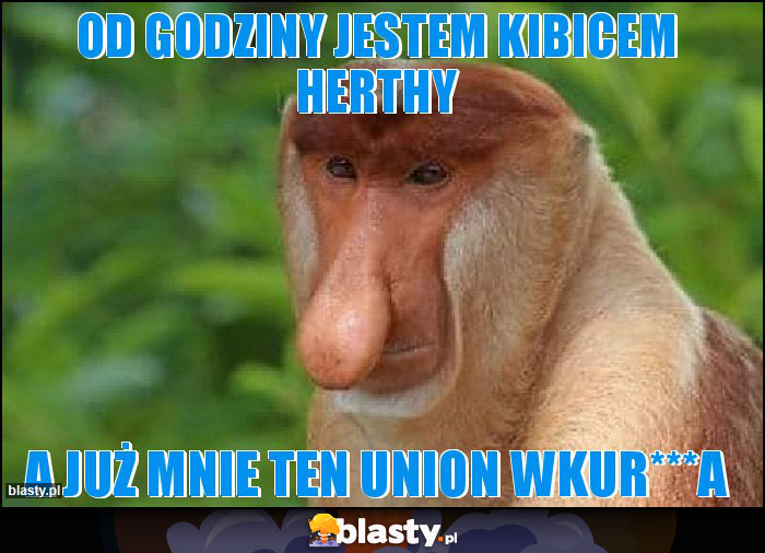 Od godziny jestem kibicem Herthy