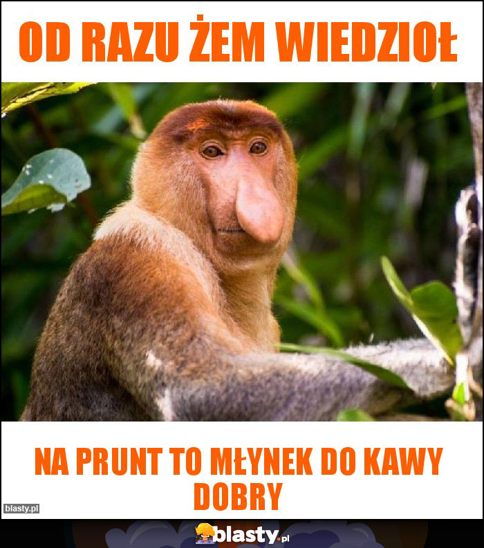 Od razu żem wiedzioł