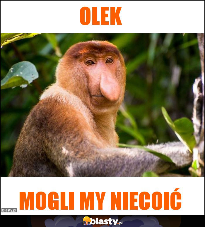 Olek