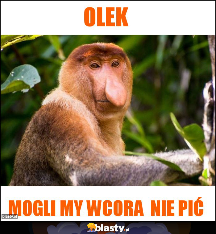 Olek