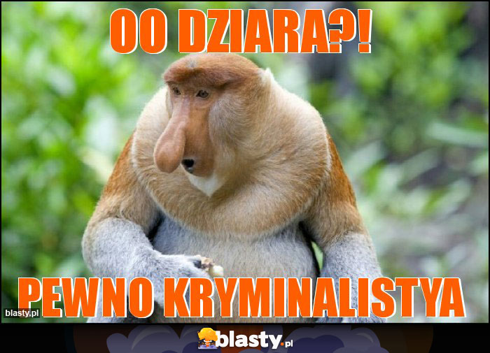 Oo dziara?!