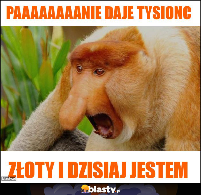 PAAAAAAAANIE DAJE TYSIONC