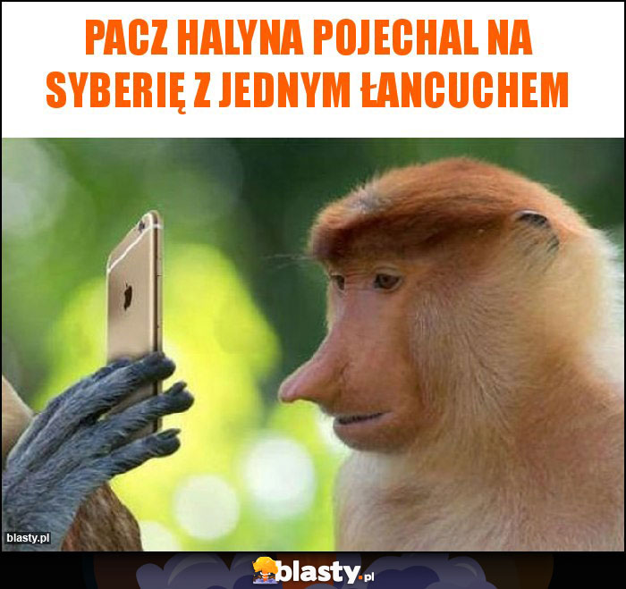 Pacz Halyna pojechal na Syberię z jednym łancuchem