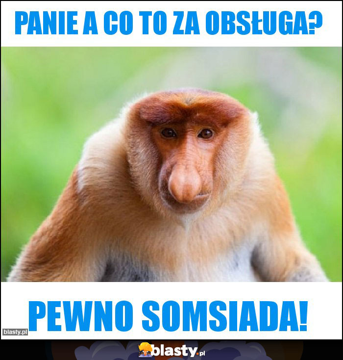 Panie a co to za obsługa?