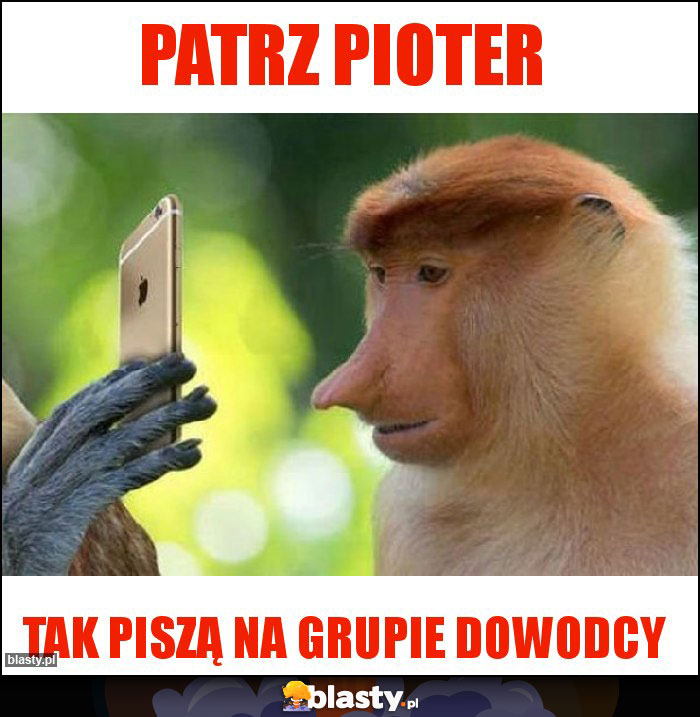 Patrz Pioter