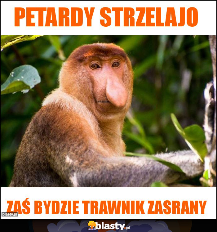 Petardy strzelajo