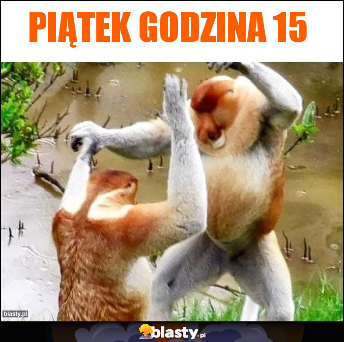 Piątek godzina 15