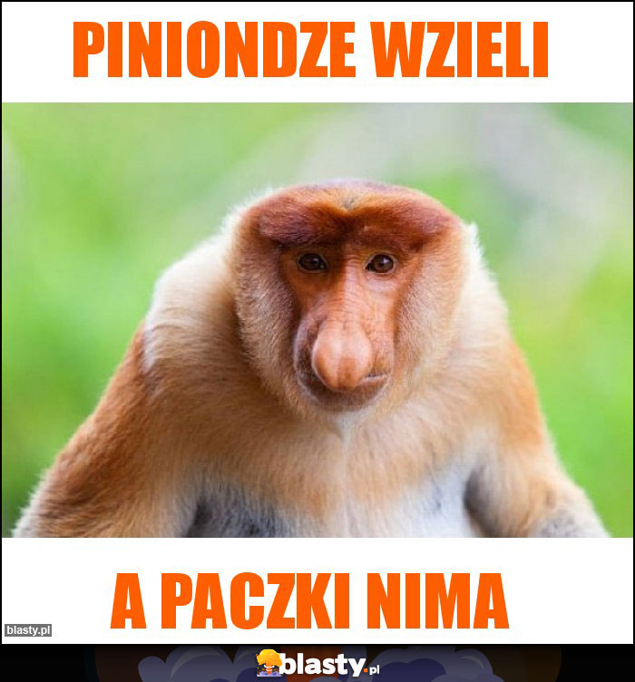 Piniondze wzieli