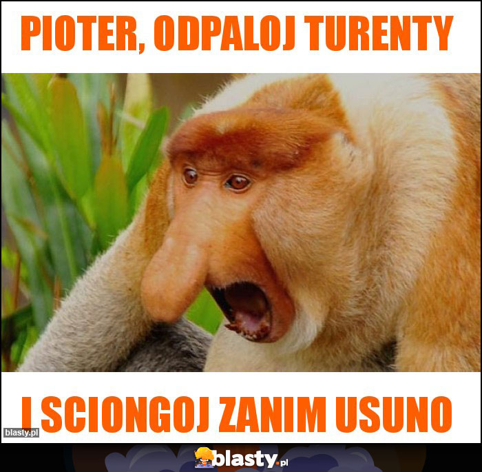 Pioter, odpaloj turenty