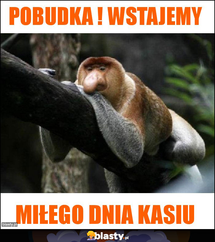 Pobudka ! Wstajemy