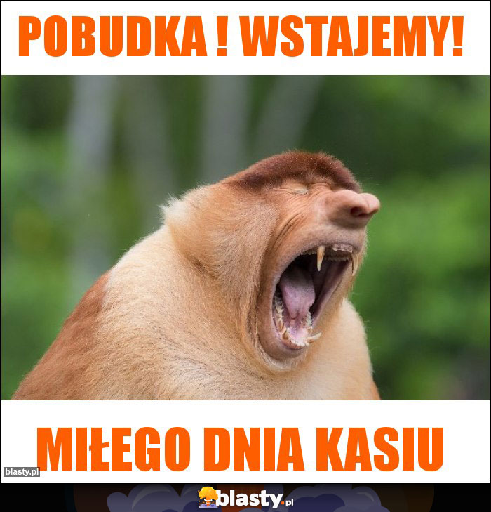 Pobudka ! Wstajemy!