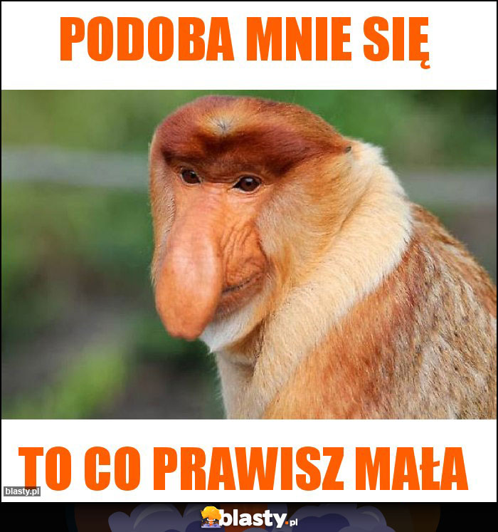 Podoba mnie się