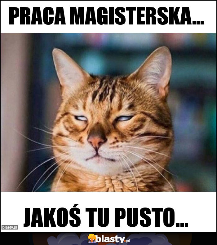 Praca magisterska...