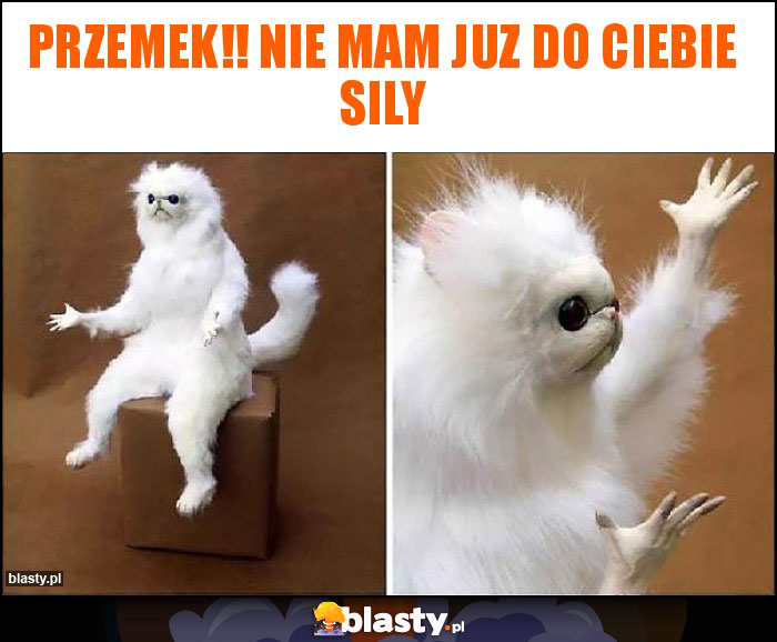 Przemek!! Nie mam juz do Ciebie sily