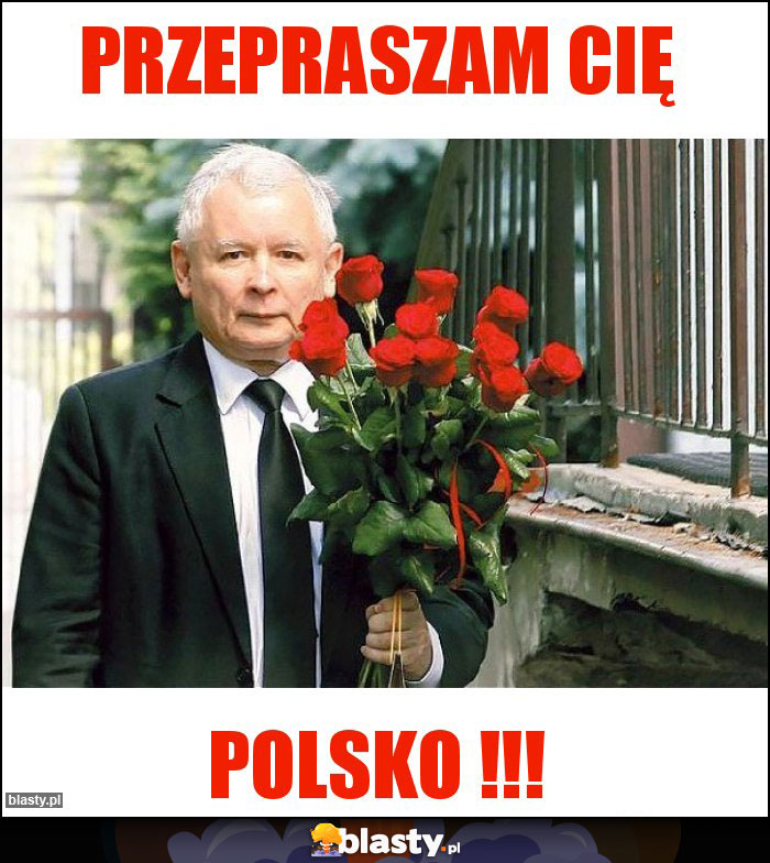 Przepraszam cię