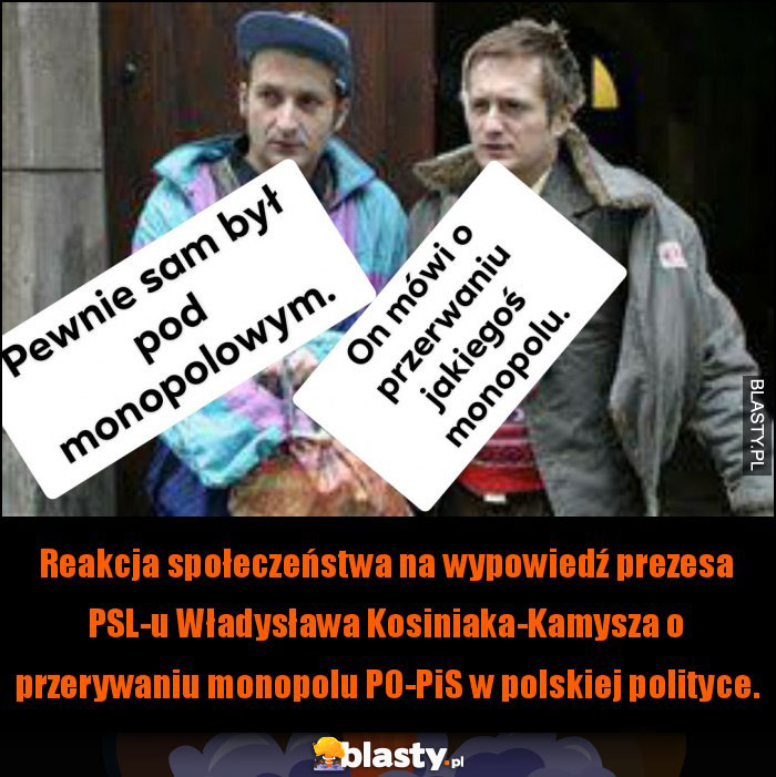 Reakcja społeczeństwa na wypowiedź szefa PSL-u.