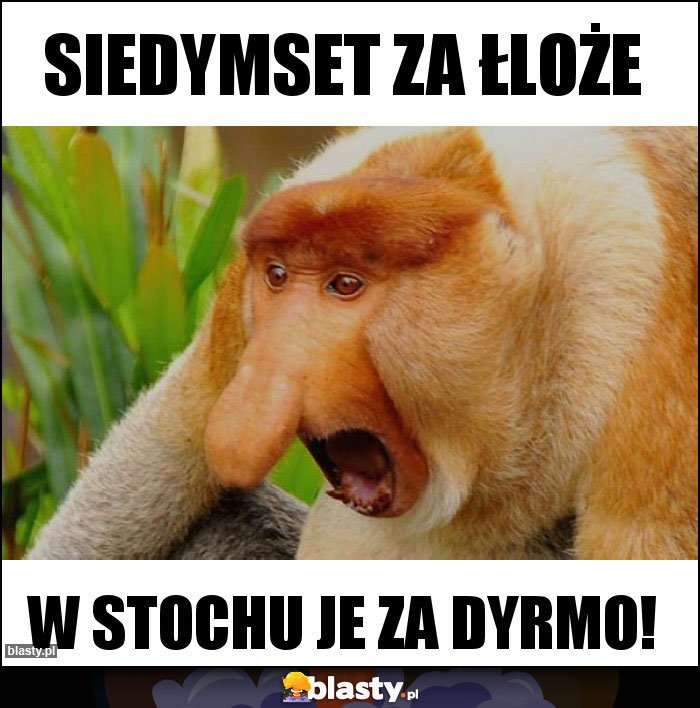 Siedymset za łloże