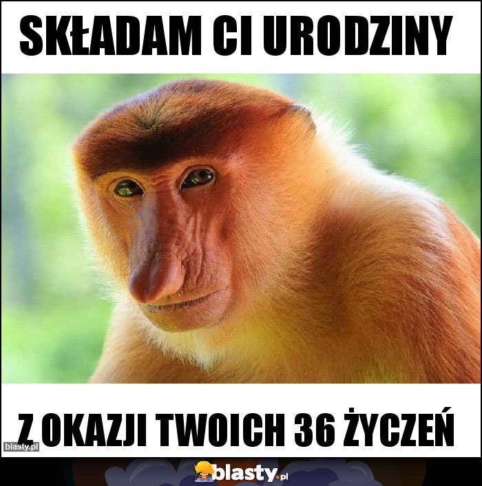 Składam Ci urodziny