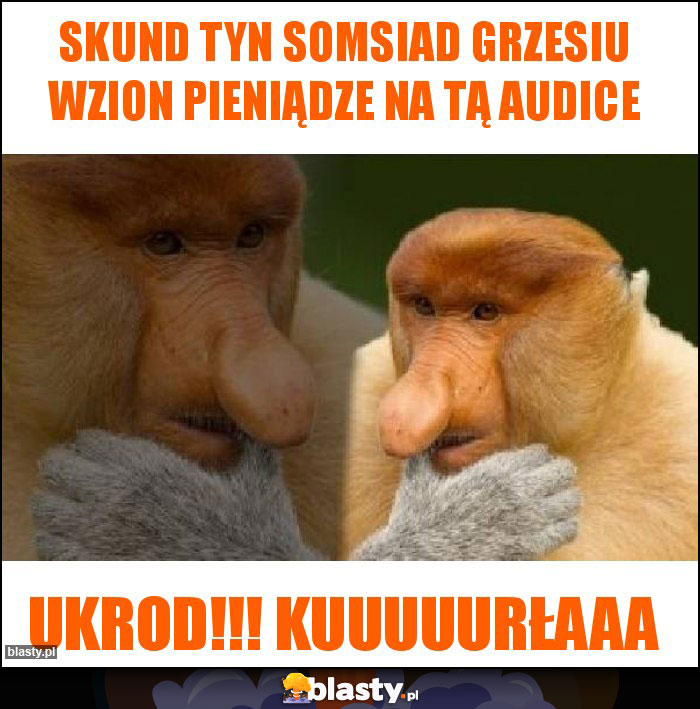 Skund tyn somsiad Grzesiu wzion pieniądze na tą audice