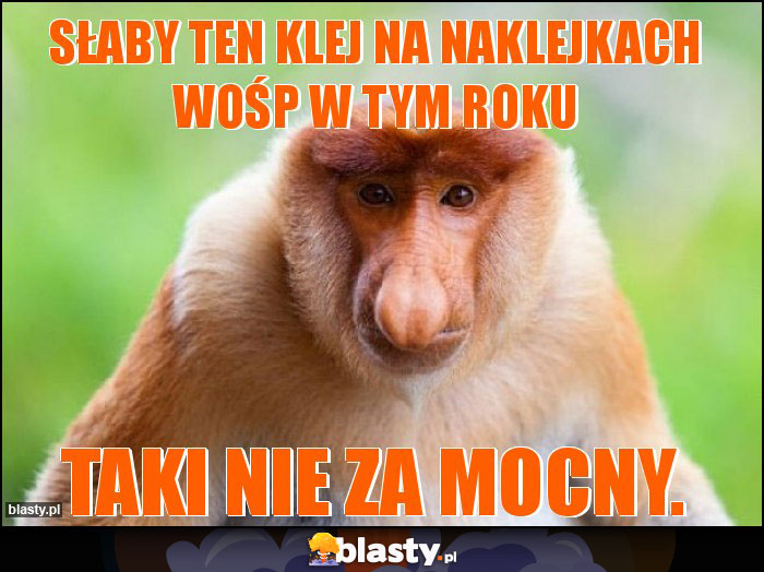 słaby ten klej na naklejkach WOŚP w tym roku