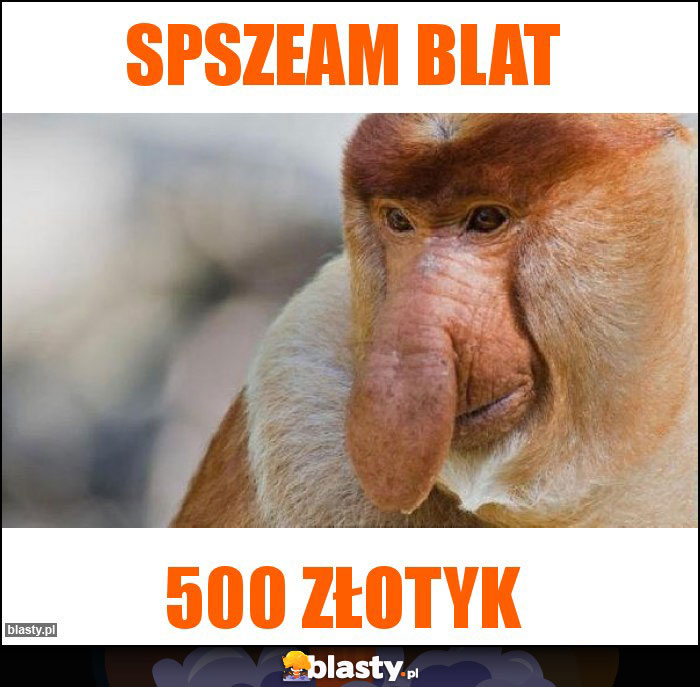 Spszeam blat