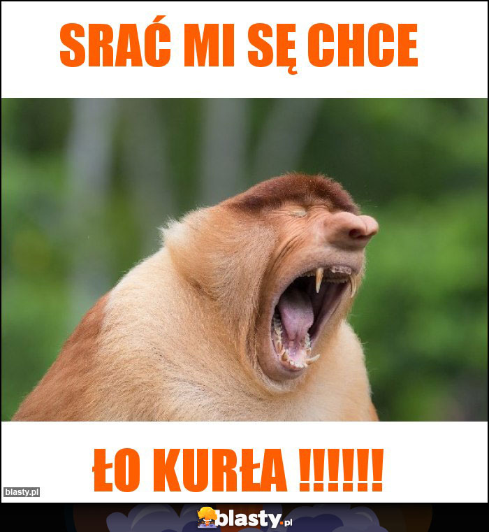 Srać mi sę chce