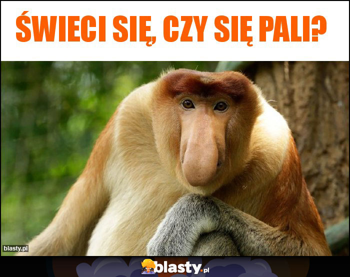 Świeci się, czy się pali?