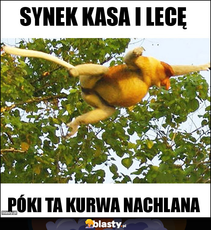 Synek kasa i lecę