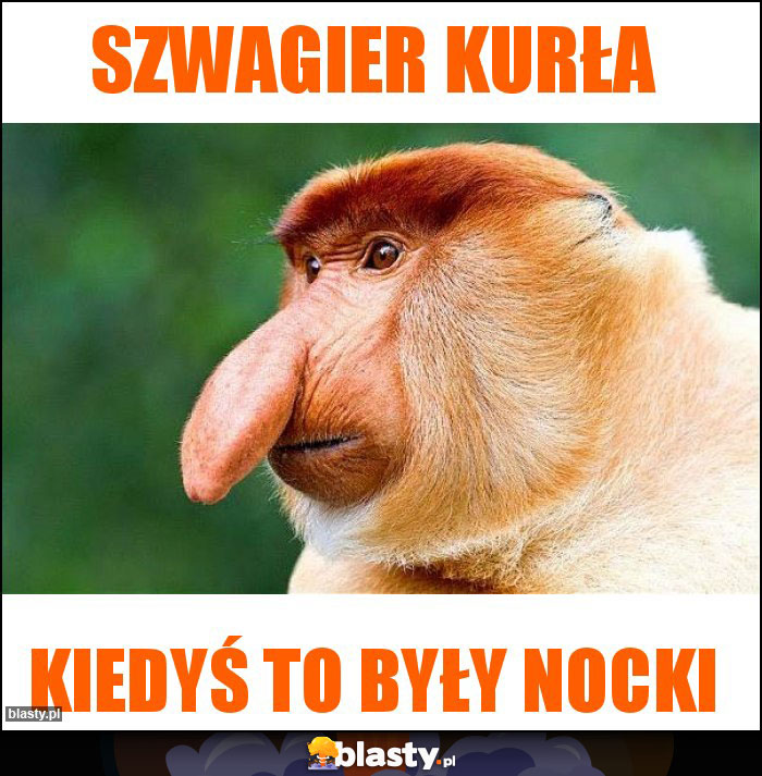 Szwagier kurła