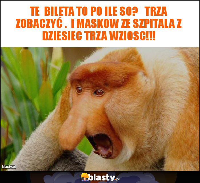 Te  bileta to po ile so?   Trza zobaczyć .  I maskow ze szpitala z dziesiec trza wziosc!!!