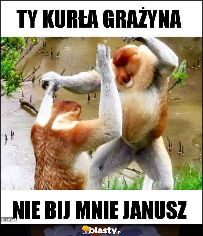 Ty kurła Grażyna