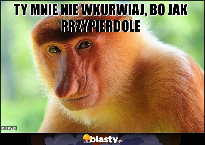 Ty mnie nie wkurwiaj, bo jak przypierdole