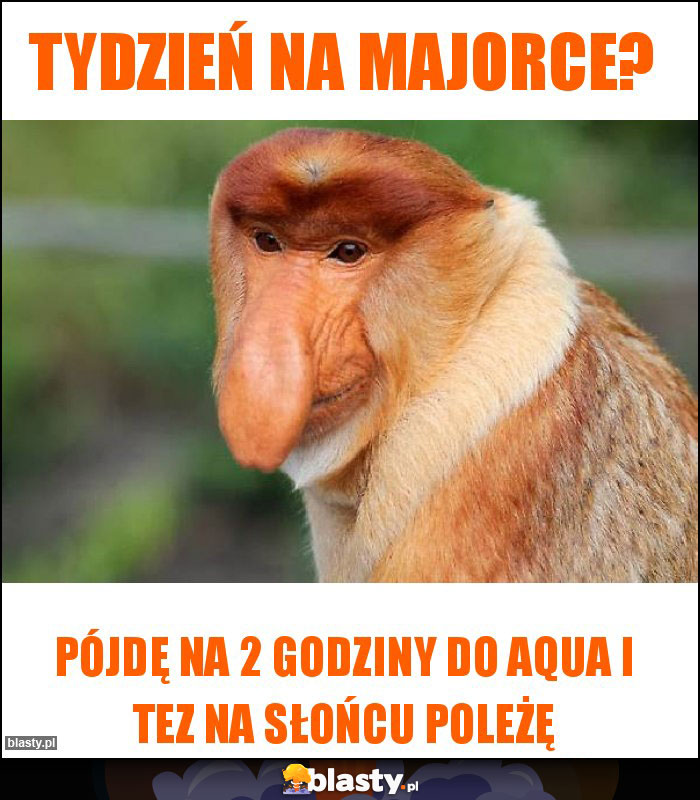 Tydzień na majorce?