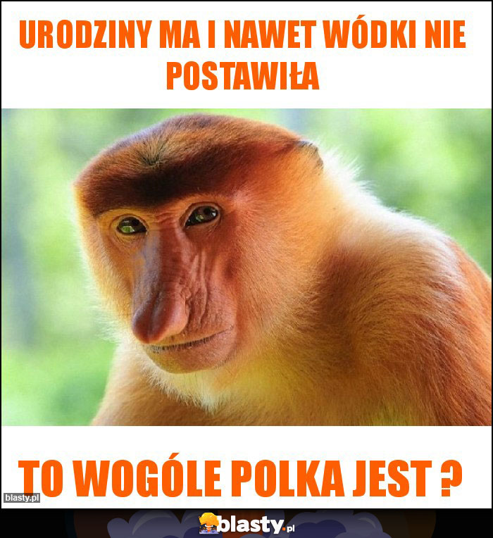 Urodziny ma i nawet wódki nie postawiła