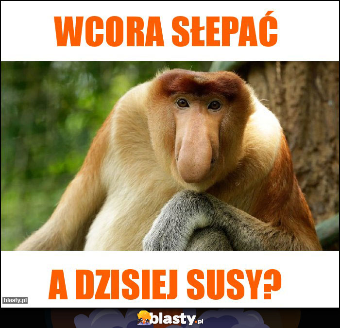 Wcora słepać