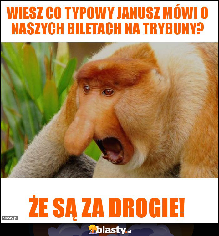 Wiesz co typowy janusz mówi o naszych biletach na trybuny?