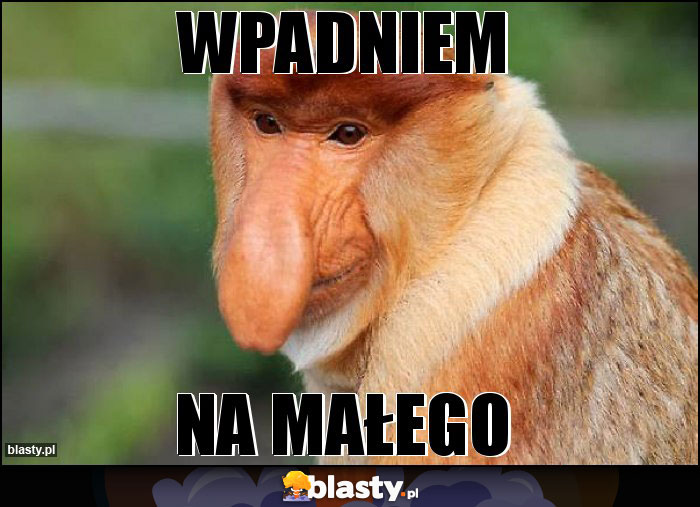 Wpadniem