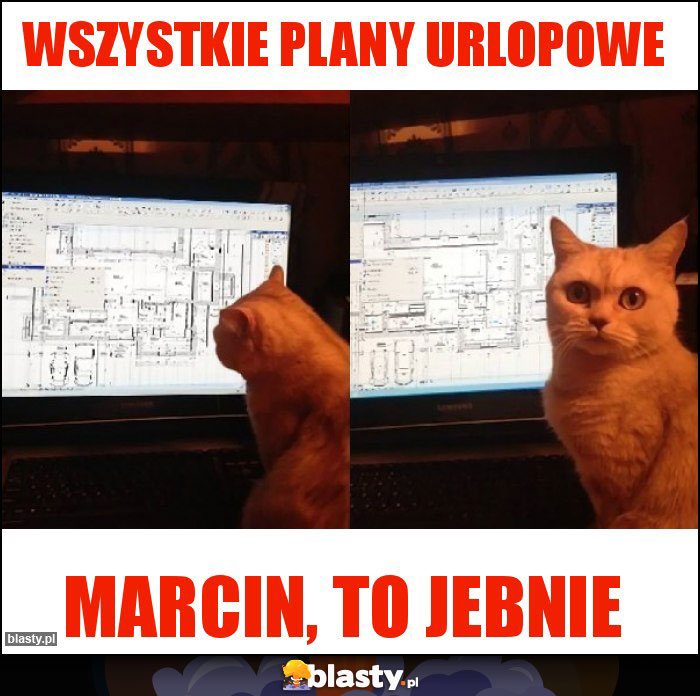 wszystkie plany urlopowe