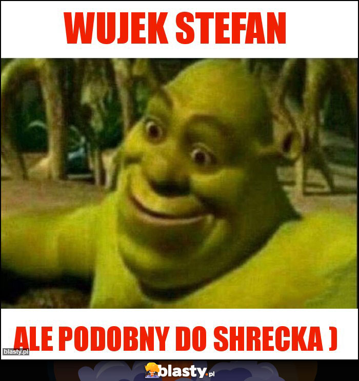 Wujek stefan