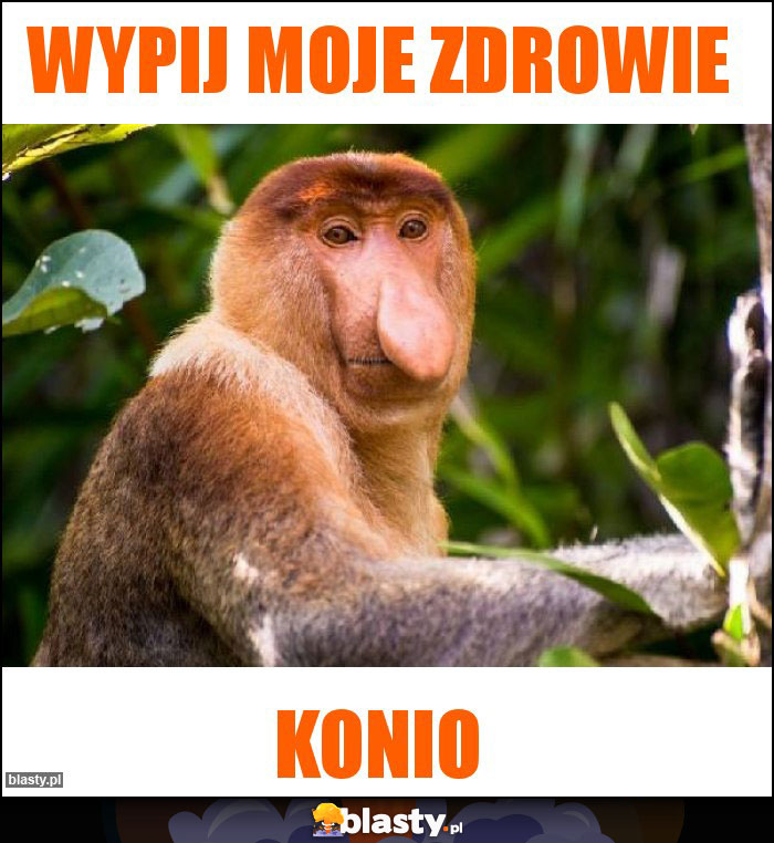 Wypij moje zdrowie