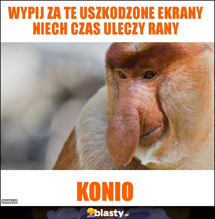 Wypij za te uszkodzone ekrany niech czas uleczy rany