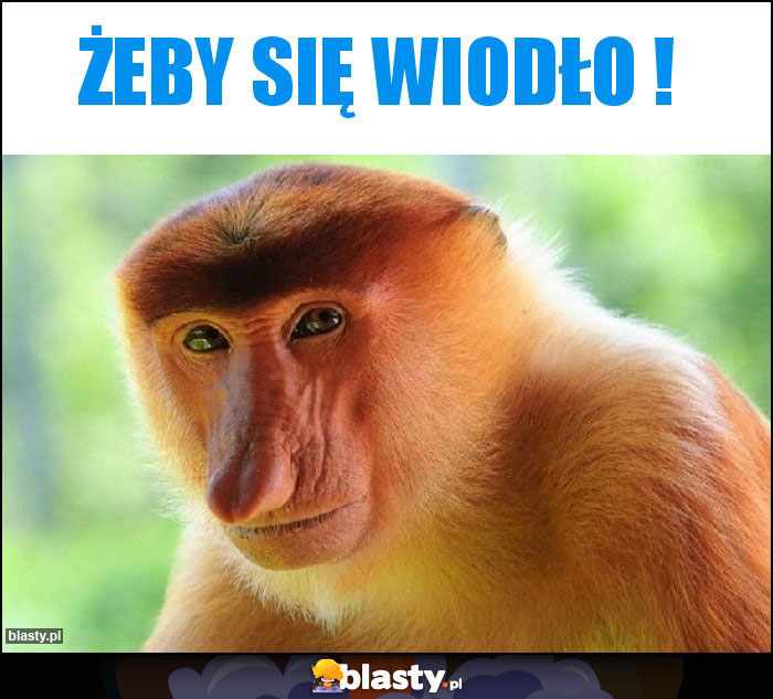 Żeby się wiodło !