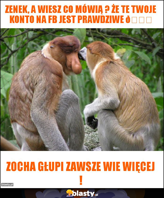 Zenek, a wiesz co mówią ? Że te twoje konto na FB jest prawdziwe ????