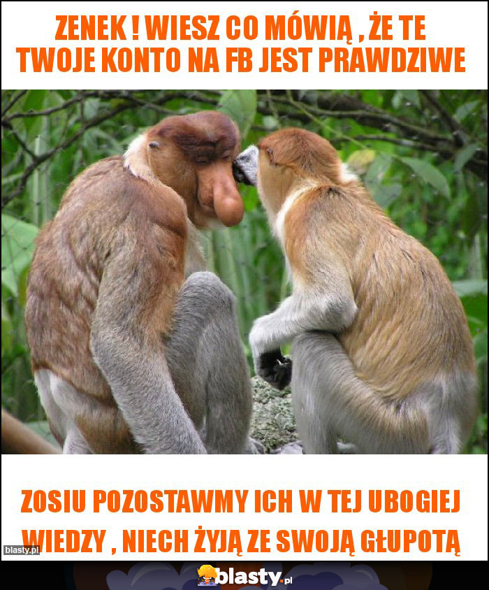 Zenek ! Wiesz co mówią , że te Twoje konto na fb jest prawdziwe