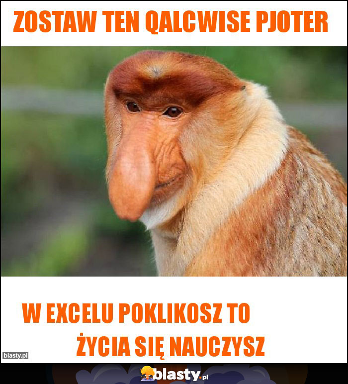 zostaw ten qalcwise pjoter