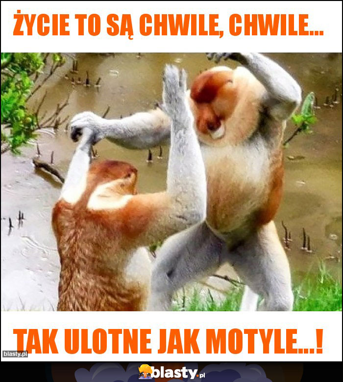 Życie to są chwile, chwile...