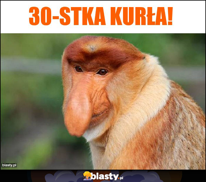 30-stka kurła!